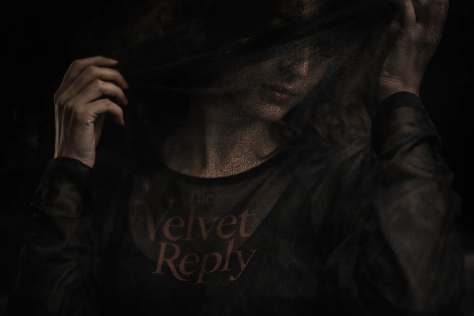 Sheer black mesh long-sleeve top with The Velvet Reply serif print on chest